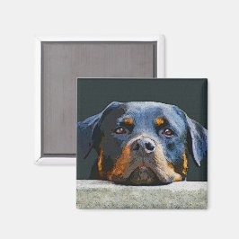 Íman Rottweiler