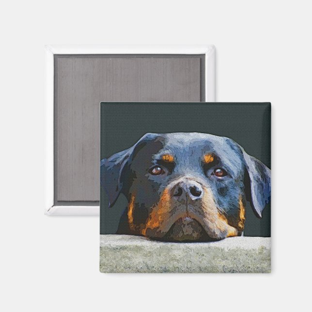 Íman Rottweiler (Front/Back)