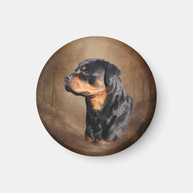 Íman Rottweiler (Frente)