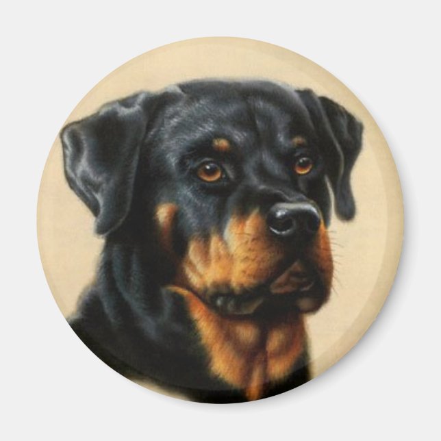 Íman Rottweiler (Frente)