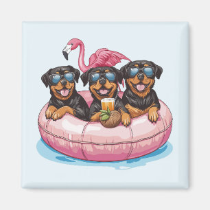 Íman Rottweiler Cães Flamingo Piscina de Verão
