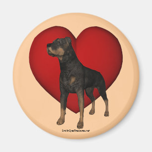 Íman Rottweiler Cão Vermelho Coração