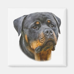 Íman Rottweiler de Aquarela