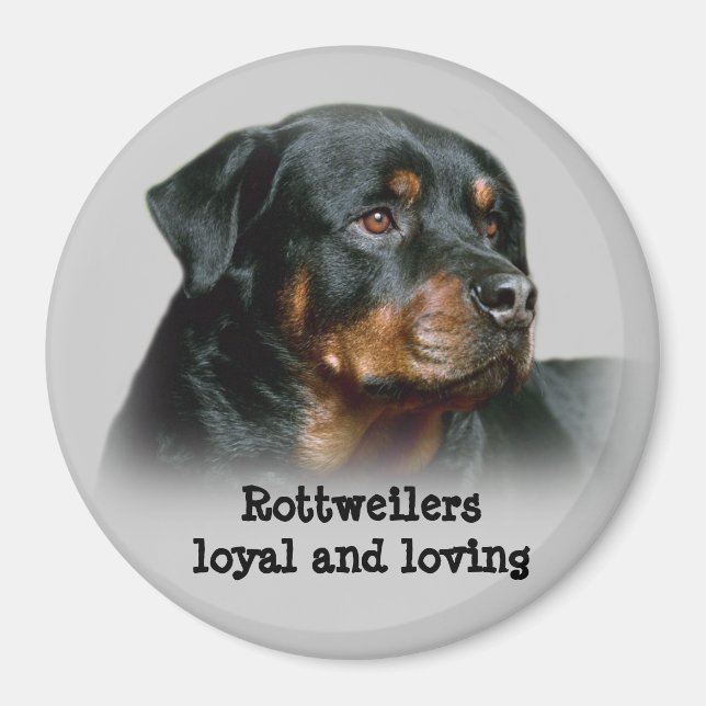Íman Rottweiler Magnet (Frente)