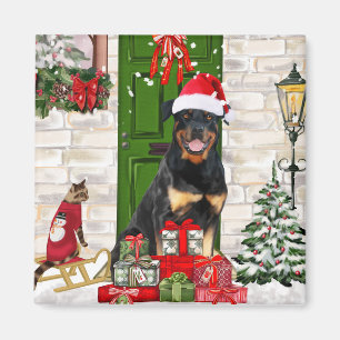 Íman Rottweiler - Natal do Cão