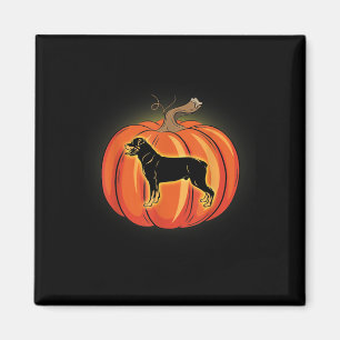 Íman Rottweiler Pumpkin Figurume