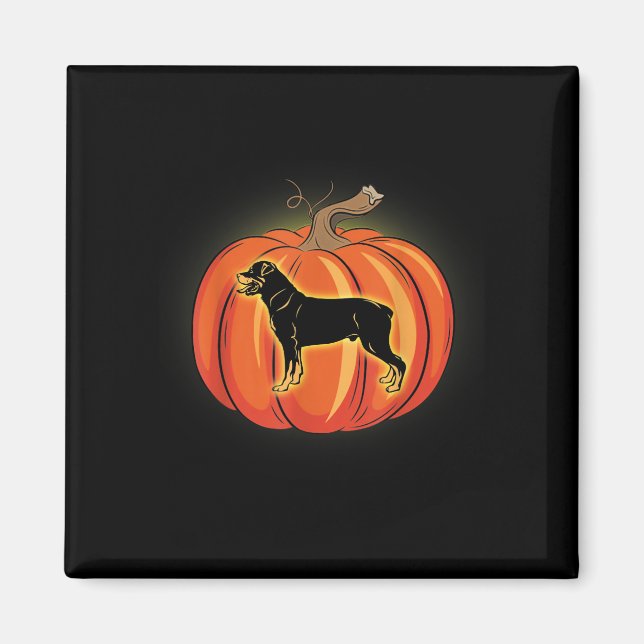 Íman Rottweiler Pumpkin Halloween Cachorro (Frente)