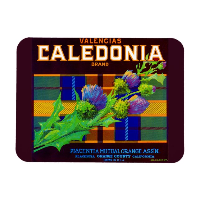 Íman Rótulo da caixa laranja da Caledonia 1930 (Horizontal)
