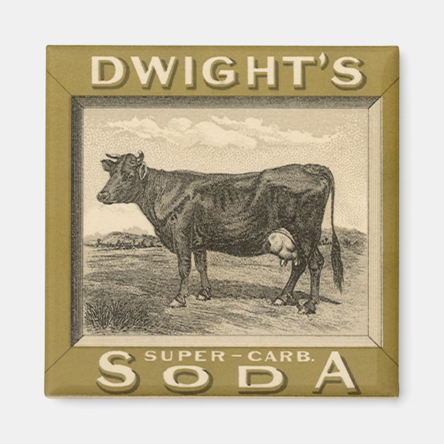 Íman Rótulo de Produto Antigo, Refrigerante Bicarbonata (Frente)