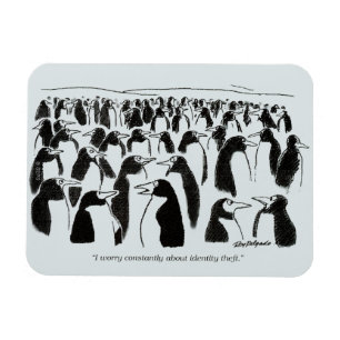 Íman Roubo de identidade