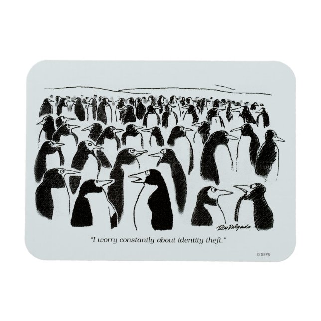 Íman Roubo de identidade (Horizontal)