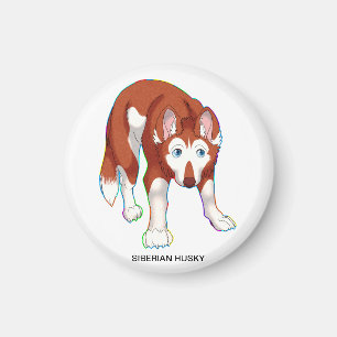 ÍMAN ROUCO SIBERIAN