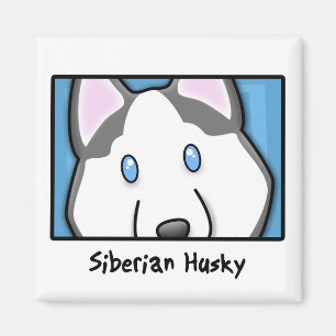 Íman Rouco Siberian quadrado dos desenhos animados