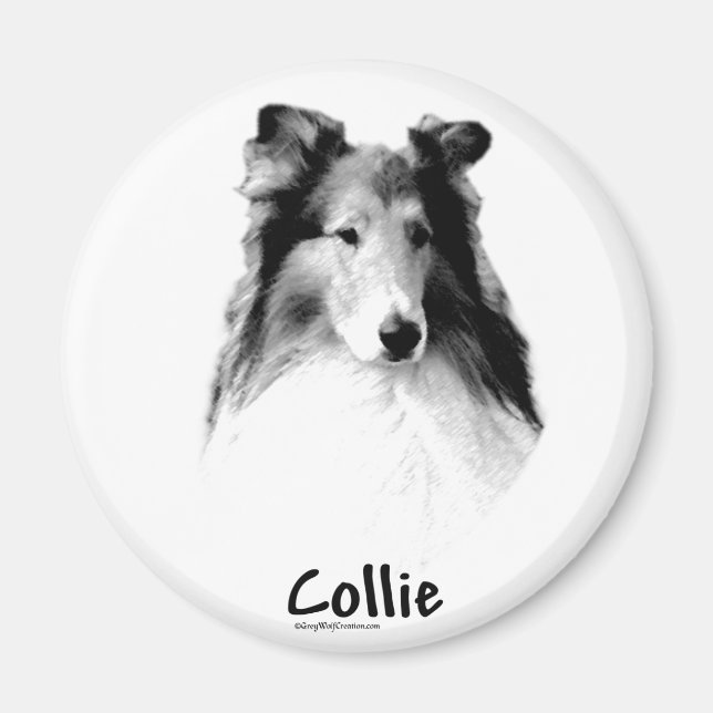Íman Rough Collie Charcarbonis (Frente)