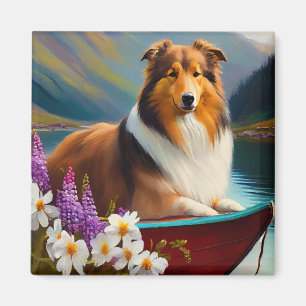 Íman Rough Collie em um Paddle: Uma Aventura Cênica