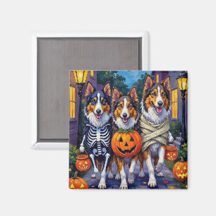 Íman Rough Collie Pedindo Doces Fantasias de Halloween