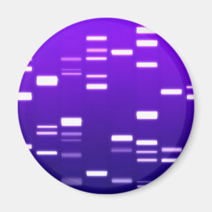 Íman Roxo do código genético do ADN