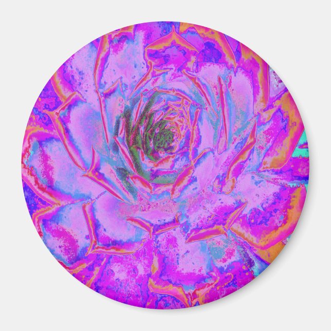 Íman Roxo e Magenta - Sena Rosette Suculente (Frente)