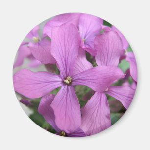 Íman Roxo Flores Selvagens