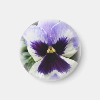 Íman roxo profundo em branco