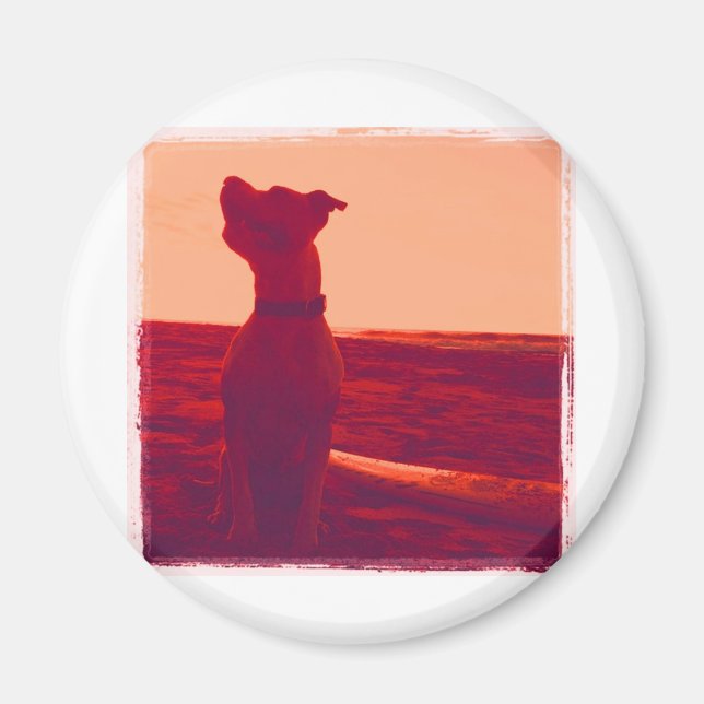 Íman Roxy Photo by Daniela (Frente)