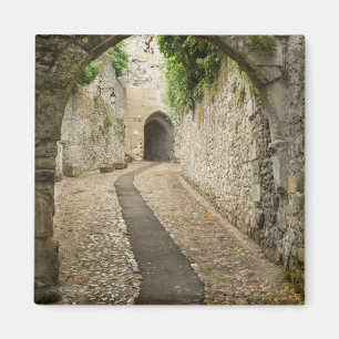 Íman Rua de paralelepípedos cinza, França