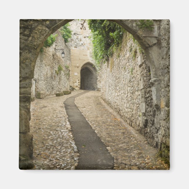Íman Rua de paralelepípedos cinza, França (Frente)