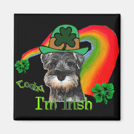 Íman Rua. Patricks Day Mini Schnauzer