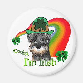 Íman Rua. Patricks Day Mini Schnauzer