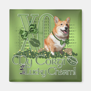 Íman Rua Patricks - mim encanto afortunado - Corgi -