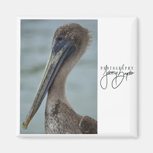 Íman Rua. Pete Pelican 2x2 Magnet (Frente)