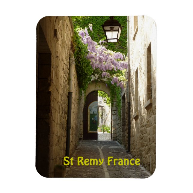 Íman Rua Remy France Magnet (Vertical)