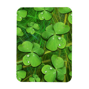 Íman Rua Verde Shamrock iPhone 5 Case-Mate de Patrick