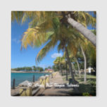 Íman Ruas. Croix Ilhas Virgens dos EUA Frederiksted Tro<br><div class="desc">Ruas. Croix US Virgin Islands Frederiksted Tropical Magnet tem uma bela fotografia do Cais Frederiksted em Ruas. Croix US Virgin Islands com as belas palmeiras e bonito águas azuis. Aproveite a fotografia do fotógrafo Denise Bennerson</div>