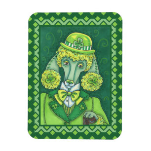 ÍMAN RUAS. PADDY'S IRISH VERDE POODLE FRANCÊS, CACHORR