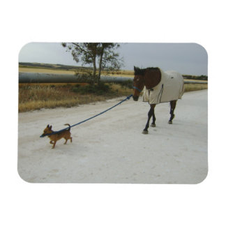 Íman Rubrica para casa