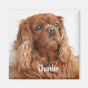 Íman Ruby Cavalier King Charles Spaniel Dog Magnet