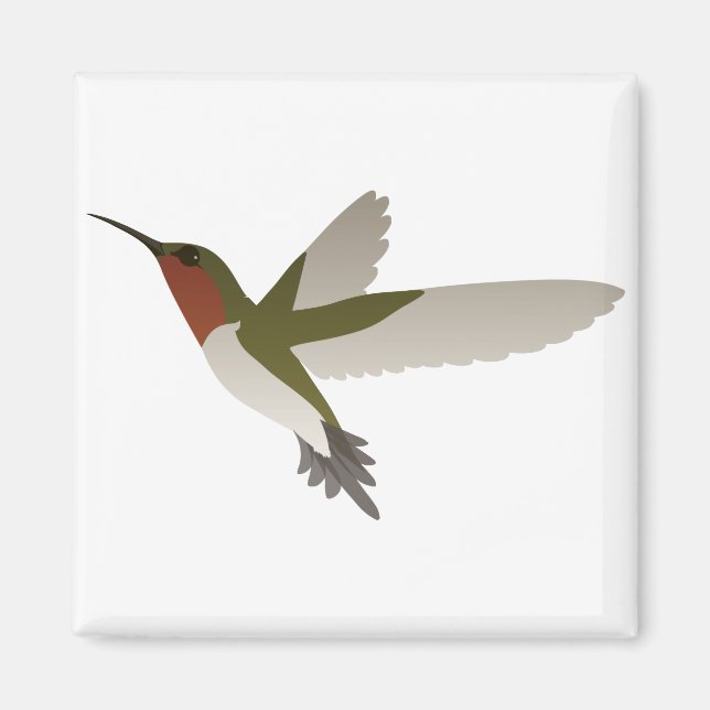 Íman Ruby Throated Hummingbird (Frente)