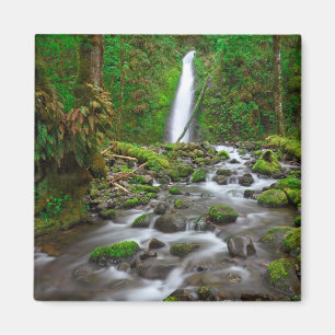 Íman Ruckel Creek Falls, Desfiladeiro do Rio Columbia O