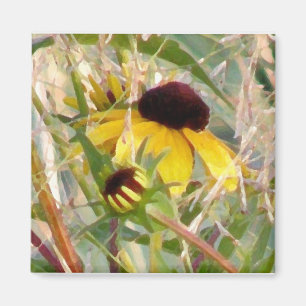 Íman Rudbeckia e Co