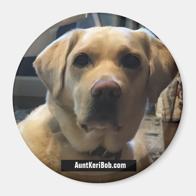 Íman Ruger agosto de 2020 (Frente)