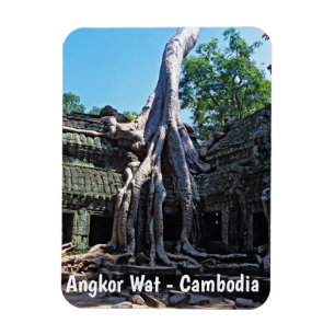Íman Ruin de Ta Prohm - Angkor Wat, Camboja, Ásia