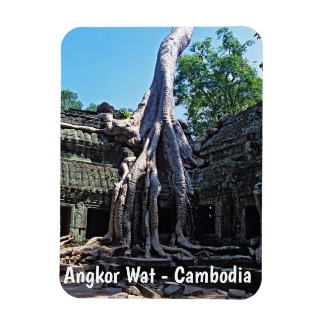 Íman Ruína de Ta Prohm - Angkor Wat, Camboja, Ásia (Vertical)