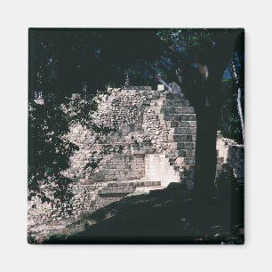 Íman Ruínas Maias Cidade Copán Honduras Foto Desenhada