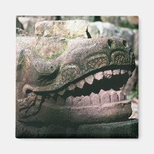 Íman Ruínas Maias Cidade de Copán Honduras Foto Desenha