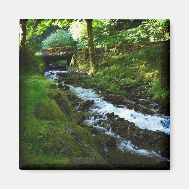 Íman Runoff de Wahkeena Falls, Oregon (Frente)