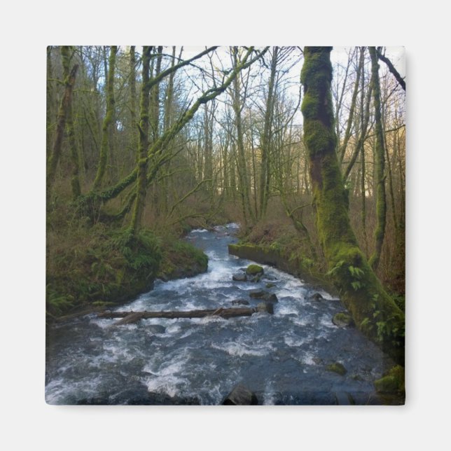 Íman Runoff from Bridal Veil Falls, Oregon (Frente)