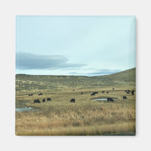 Íman Rural Baker County, Oregon Canvas Print