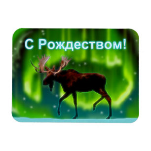 Íman S Rozhdestvom - Luzes do Norte Moose