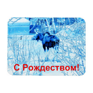 Íman S Rozhdestvom - Moose Urbana